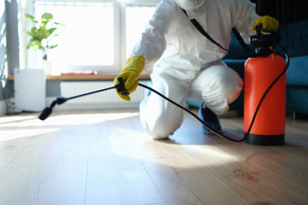 Reliable Sewage Cleanup contractor in Lexington, TX by Trauma Clean Pros